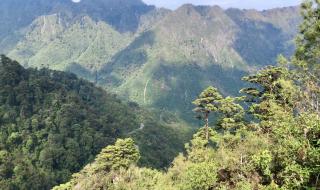 高黎贡山自然保护区